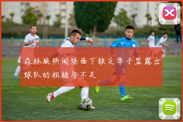 森林狼热闹场面下缺乏华子显露出球队的粗糙与不足