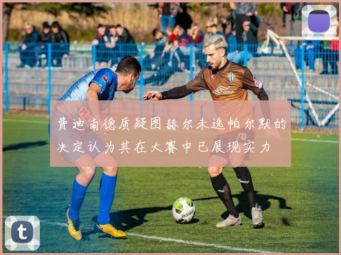 费迪南德质疑图赫尔未选帕尔默的决定认为其在大赛中已展现实力
