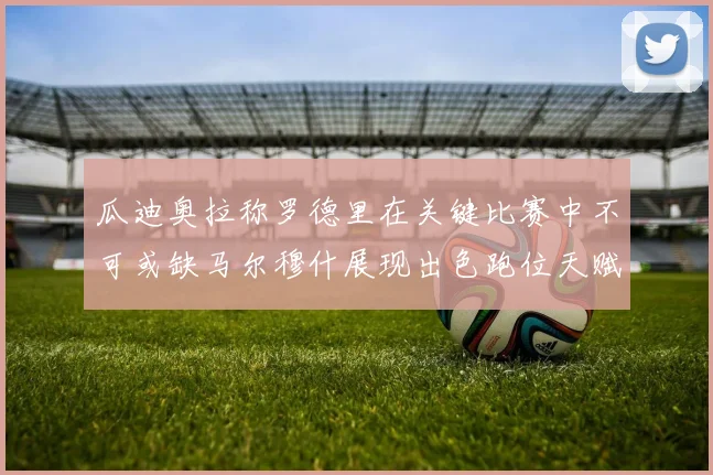 瓜迪奥拉称罗德里在关键比赛中不可或缺马尔穆什展现出色跑位天赋